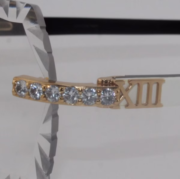 remium handcrafted buffalo horn sunglasses with white genuine horn temples and 60mm transitional diamond cut lenses that adapt from clear to tinted - luxury functional face jewelry made in Michigan